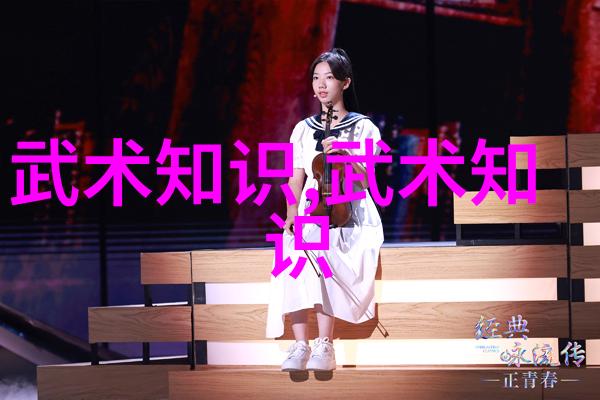 密室中的一击定胜负少林暗器术全览