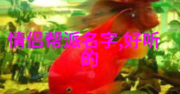 云雾缭绕之武当全真龙门秘传