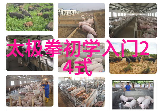 暗器无声杀机四伏分析古代武林中常见的手套和短刀技巧