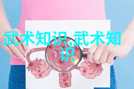武术文化-掌握24式太极拳口诀探索内在力量与平衡艺术