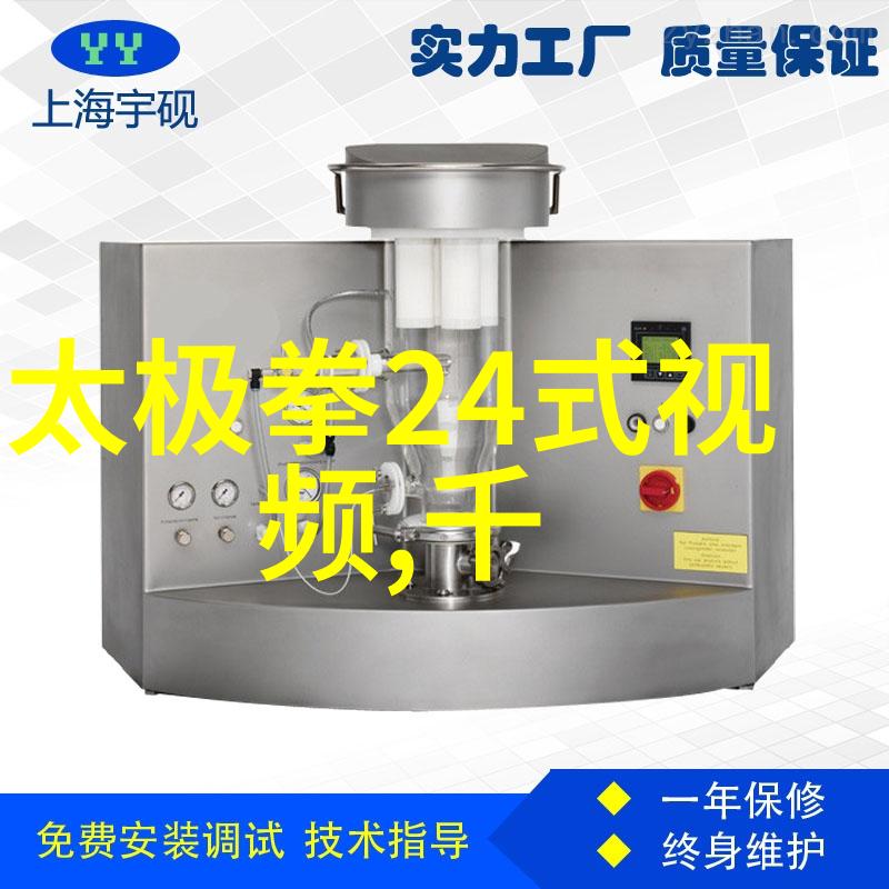 铁拳天下探索世界最狠拳法的秘密
