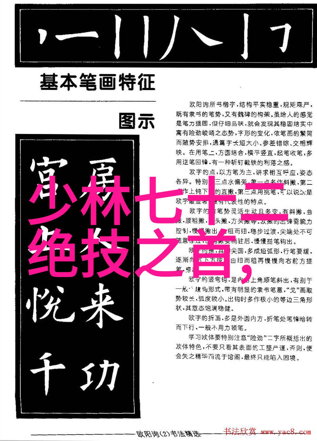 自然中怎么游泳的自由泳技术动作问题解答