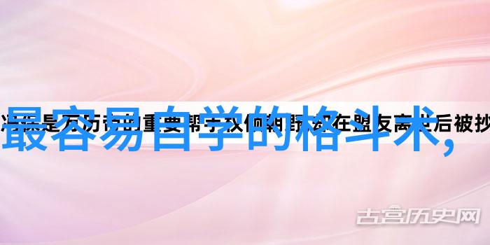 中国武术史上最杰出十大流派中华武学的巅峰之选