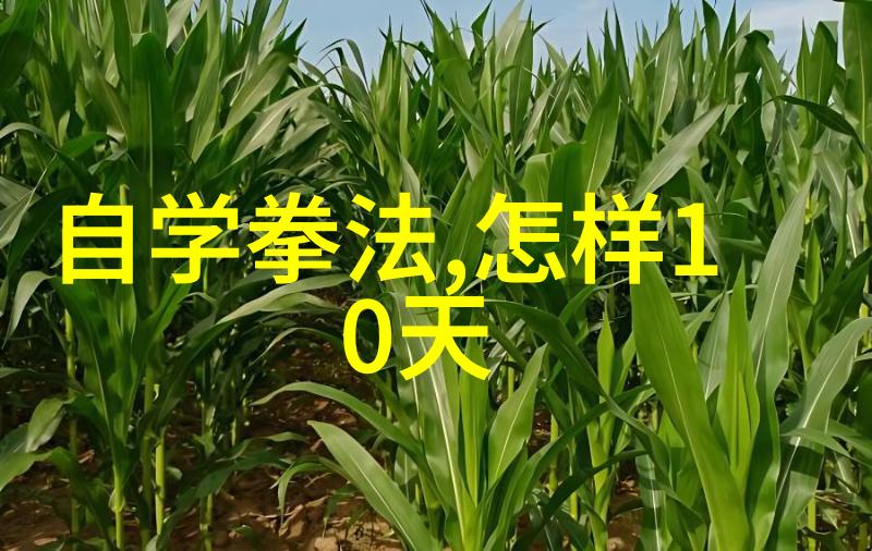 武林门派名字大全江湖秘籍中的传说门派