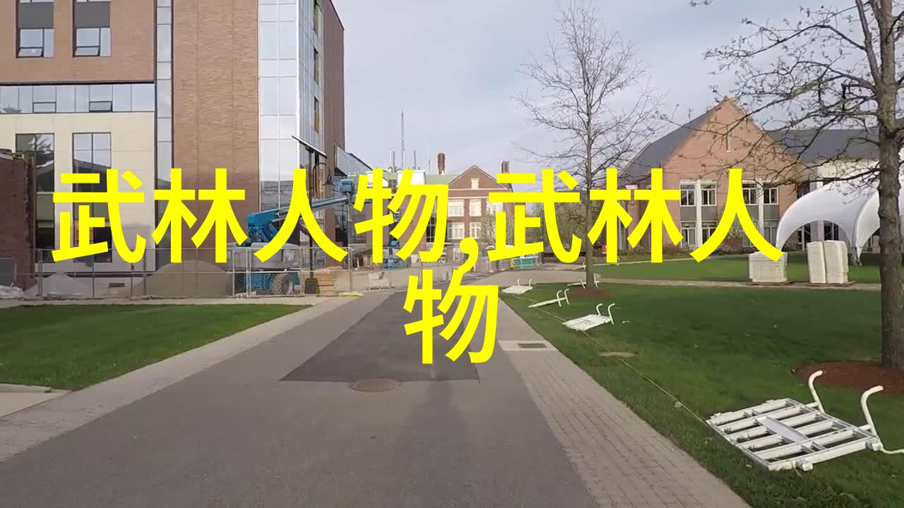 揭秘武学高峰哪个传统门派的内功更胜群芳