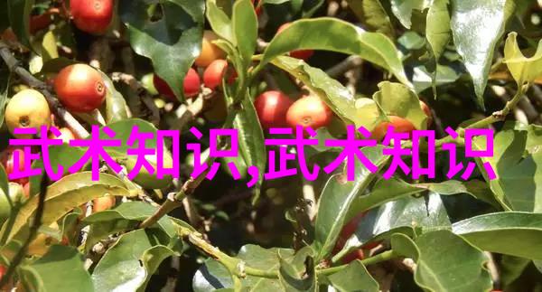绮丽巢穴巧妙选择女生帮派的艺术
