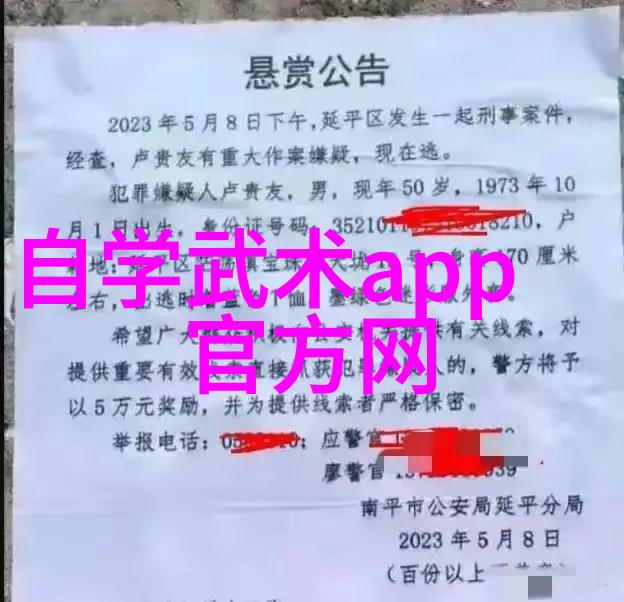 诗意帮会名古风武当太虚拳绝学传承