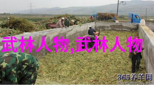 古武秘法录寻踪天地之韵