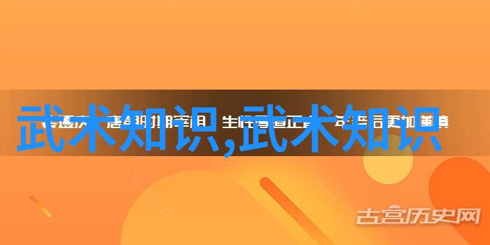 拳法秘籍解析揭秘武功全书中的精髓之道