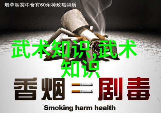 峨嵋派掌门通永霸气十足的帮派领袖