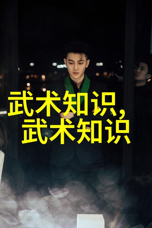 中国武功秘籍的大全书揭秘太极拳练习之道