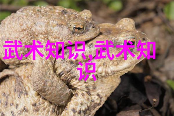 在湛蓝的波涛中探索生命的无限潜力如何使游泳成为提升生活品质激发性感冒流露的一种艺术