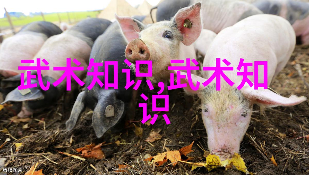 32式太极拳拳谱全套分解探索古老武术中的内在奥秘