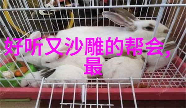 倚天屠龙记中的武功之道金庸小说中武功名称大全探秘