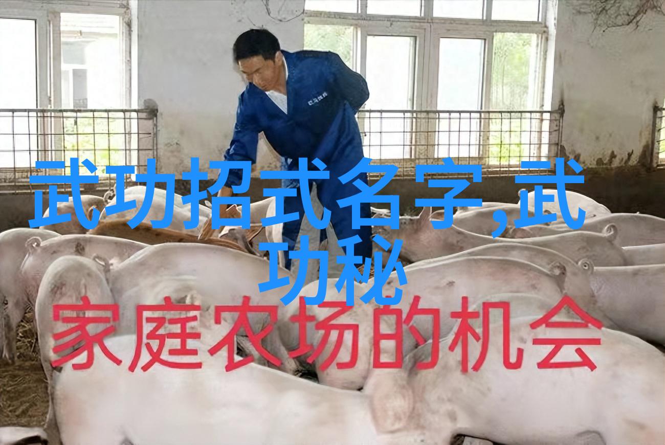 神秘篇章九千卷灵动经典