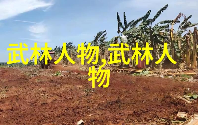 武术对青春期孩子来说是一个什么样的挑战和机遇