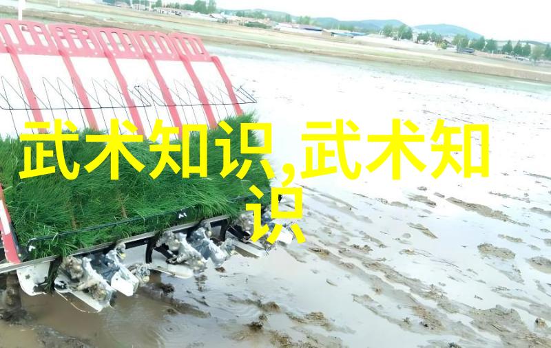 武林十绝揭秘中国最强武术的笑话版