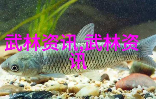 门派拳种济宁查拳揭秘古老武学的最后遗迹