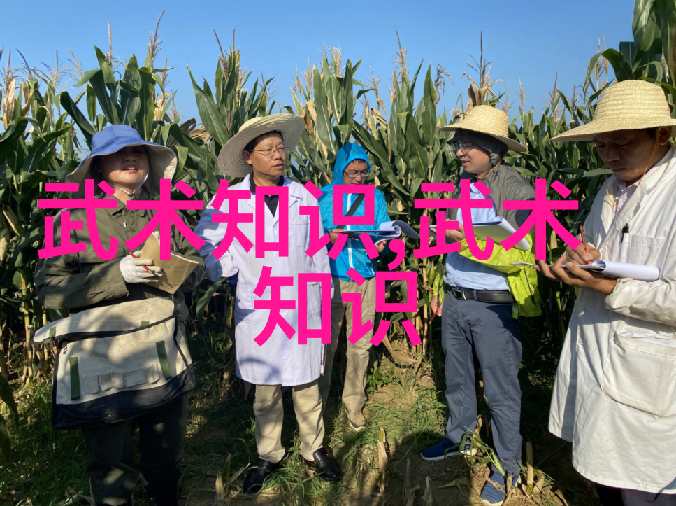 笑声四溢逗比五人团队的荒诞冒险