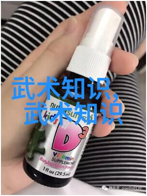 揭秘中国武术中形意拳的强势流派