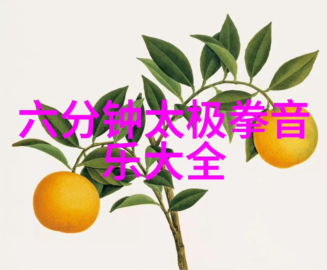 乒乓球桌上的激烈对决WTT太原站国乒队员遭遇分歧命运