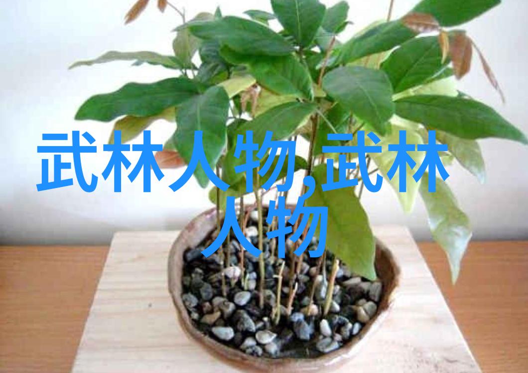 自己在家练武术的教程我来教你怎么在家也能打得像武侠一样