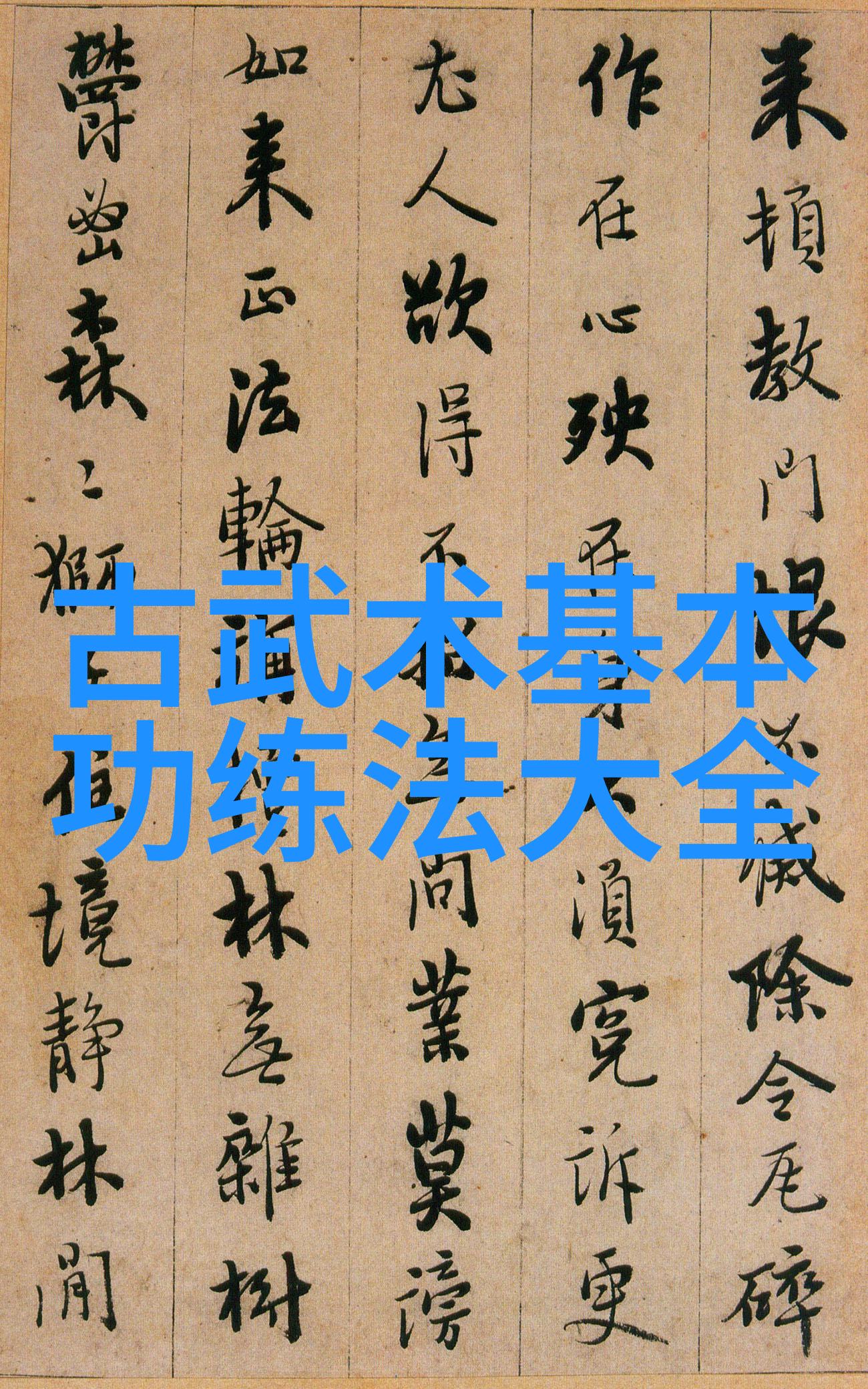 武林秘籍全集古今武学宝典的传承与探索