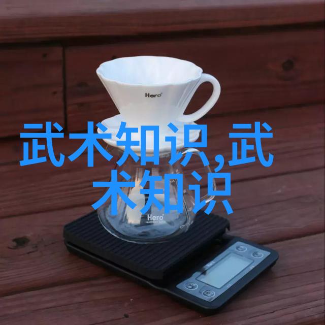 家居武术练习教程家庭自我防卫技巧