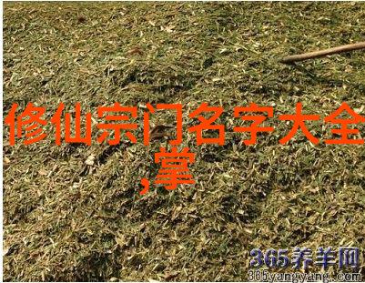 太极拳24式精髓解析步骤指南与动作图解