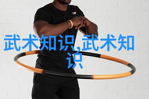 古韵帮派中国意拳在社会舞台上绽放