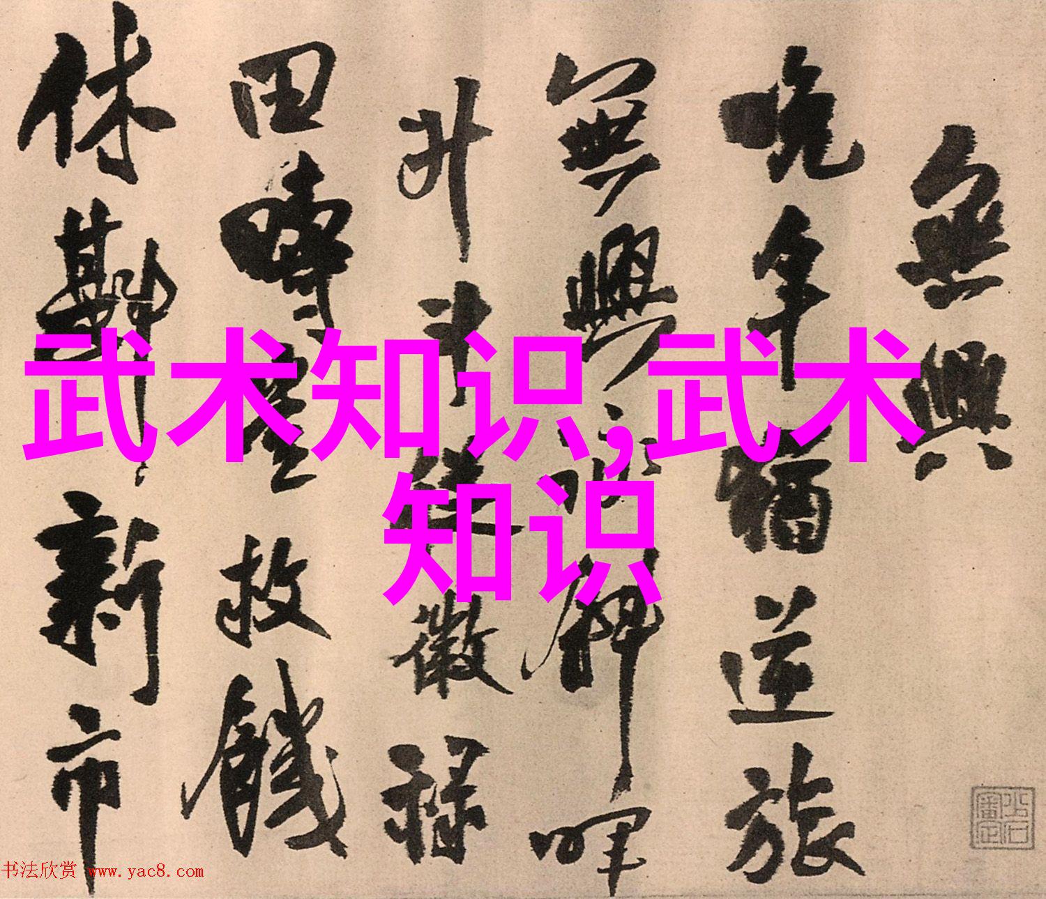 在学习中求变将现代元素融入传统的中国武术秘籍书实践中去