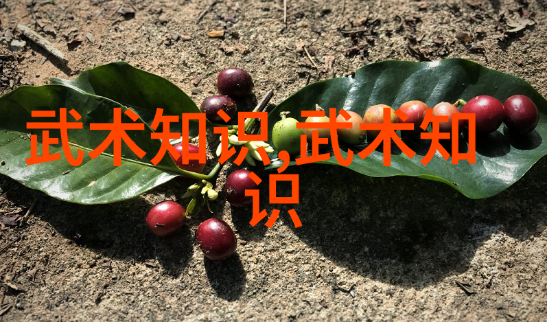 冬日冰封下的翘嘴鱼之舞寻觅最佳钓时的秘密