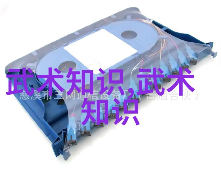 探究武功之极致世界上最强武学体系的理论与实践分析