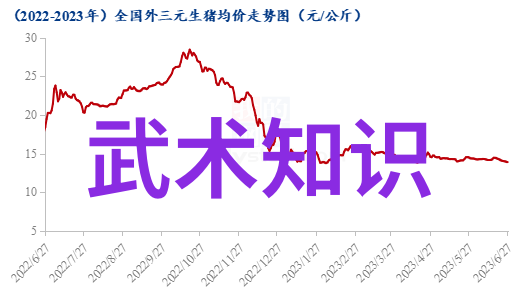 暗影盟主