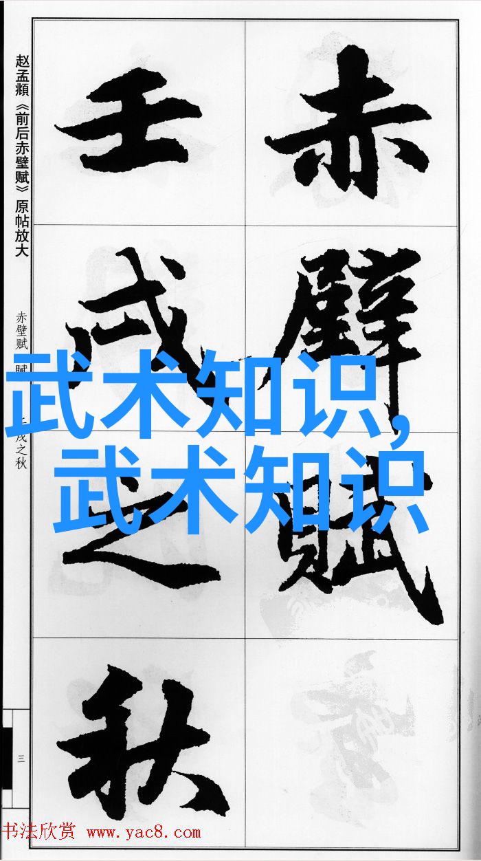 太极拳24式图解探索阴阳和谐之舞
