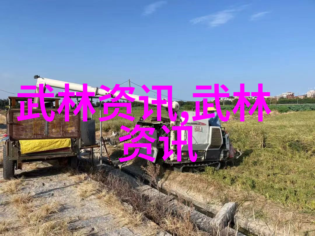 太极拳自学指南季荣发在社会的舞台上