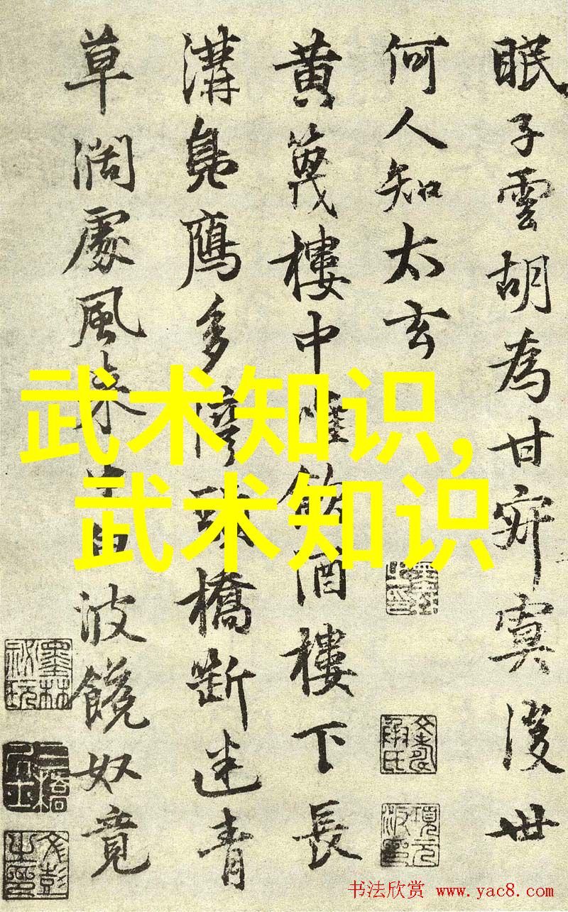 武林至尊揭秘实战性强十大武术之谜