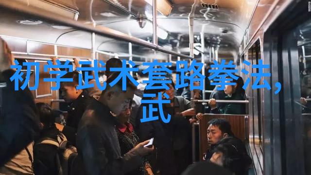 中国拳法有几种裆然反复