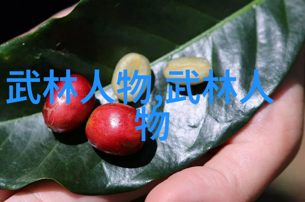 中国十大剑法秘籍孙玉奎探究太极八法的精髓
