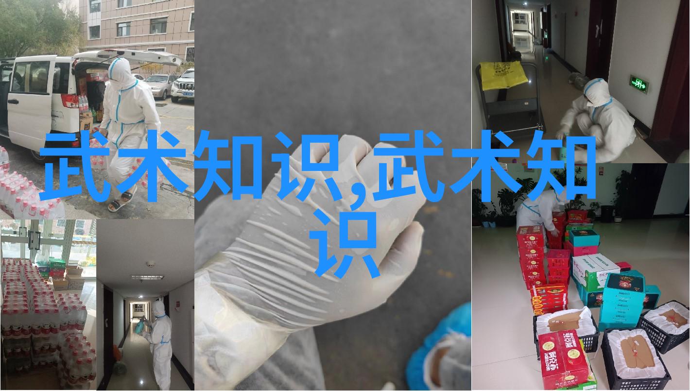 传承古法创新实践太极拳24式自学方法与技巧图解揭秘