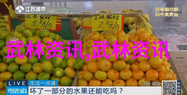 将诗意化作打击力咏春拳法的独特训练方法是什么