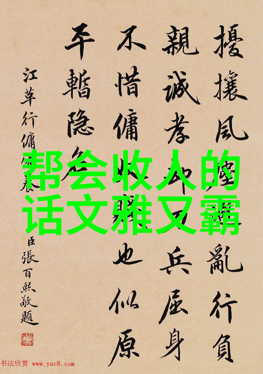 揭秘真正武功秘籍震脚技巧领略陈氏太极拳精髓