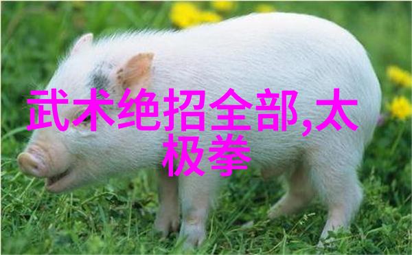 中国功夫秘籍大全内含武术基础知识经典招式演练实战技巧分析