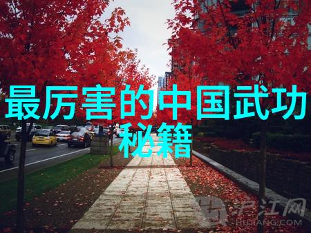 波多野结衣的119分钟揭秘她的独特魅力与电影之旅