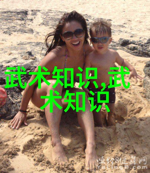 中国武术史上最杰出十大流派中国传统武术的巅峰之选