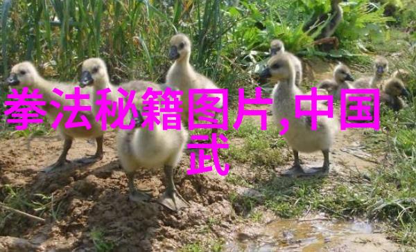 武侠世界-女子剑门穿越千年的风华与智慧