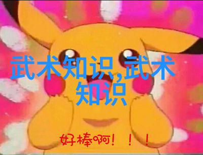 气沉丹田武术知识在社会中的应用与实践
