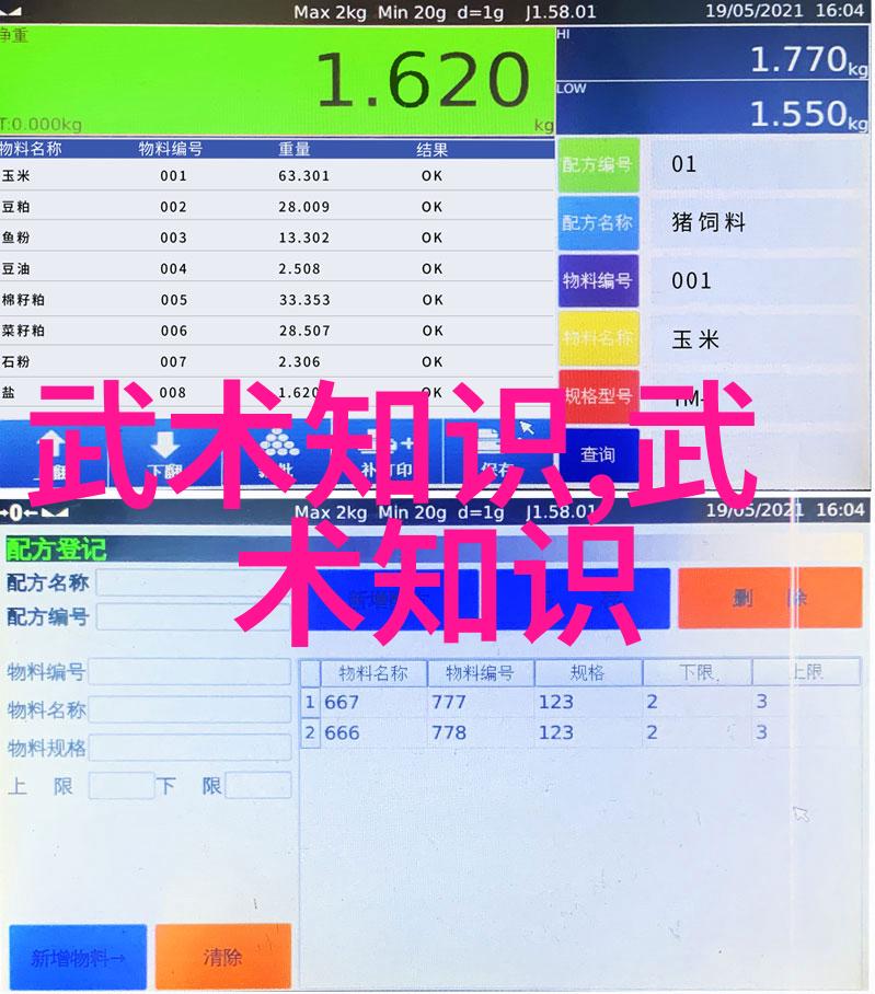 武林高手们的争论拳法之巅与招式之秘