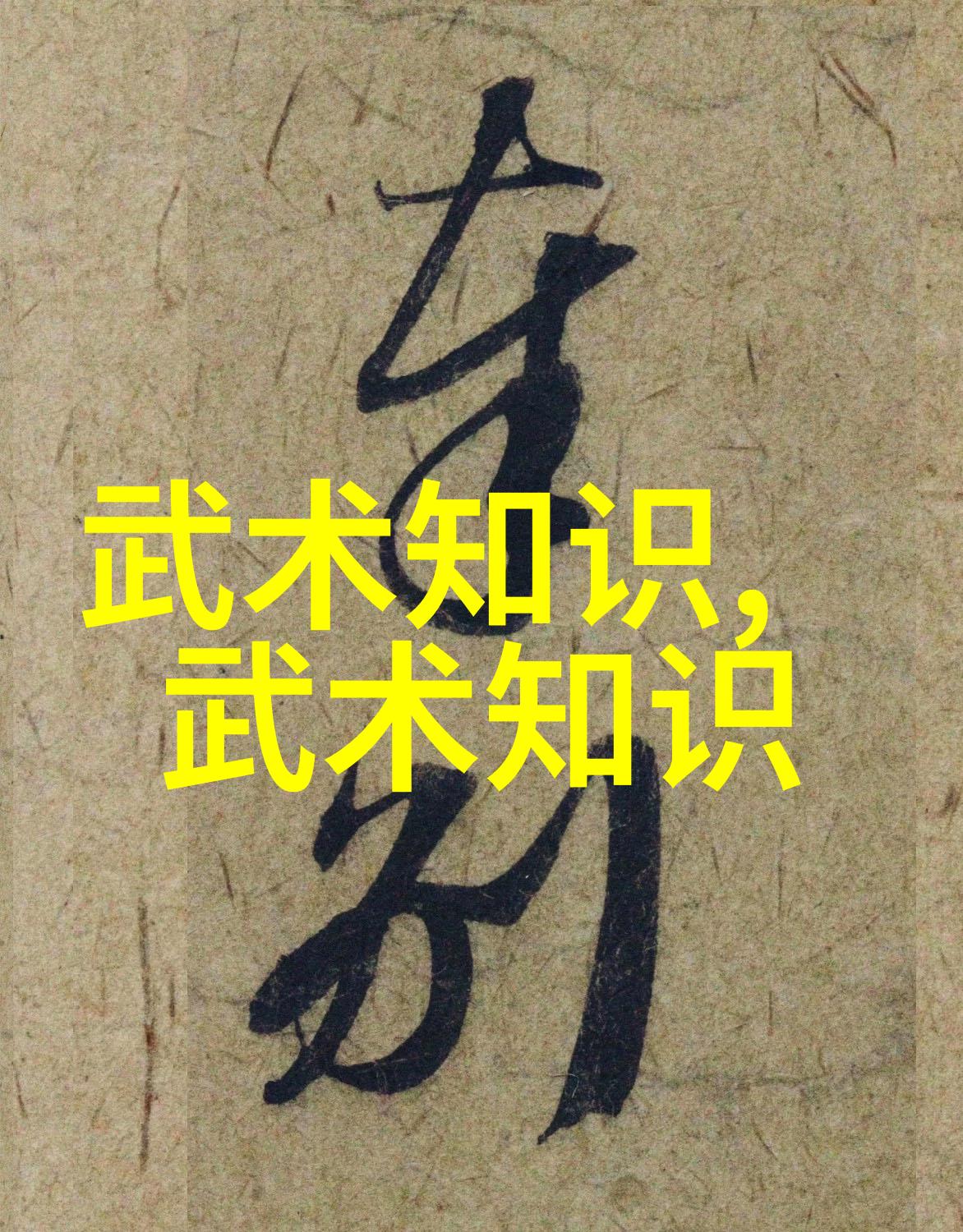 武功自学教学视频-通往内力大师之路武功自学教学视频全解析