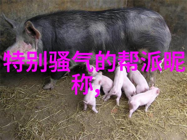 反复解读全运会田径比赛2022年改革措施